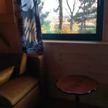 Apartment Cztery Pory Roku Z Lazienkami Do Wynajecia Osiek (Lesser Poland)